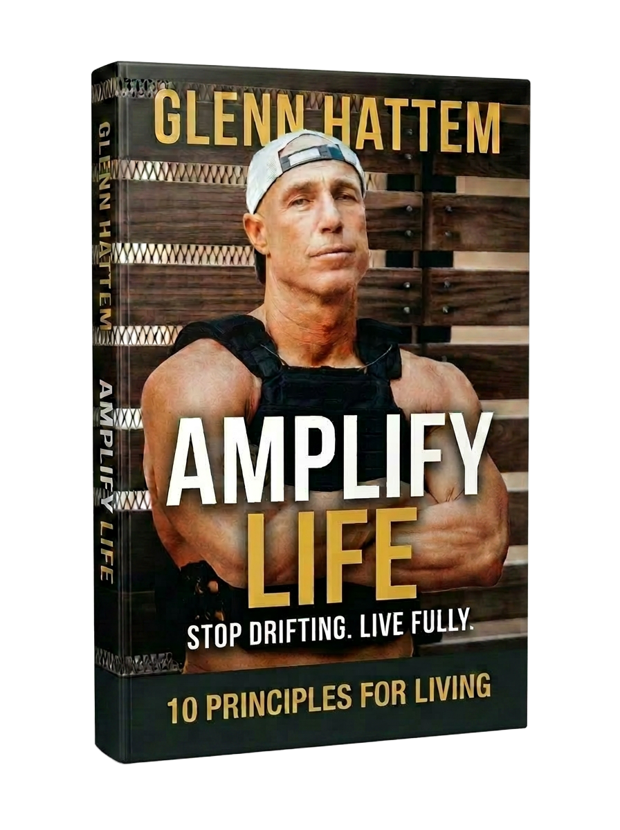 Amplify Life book 3D cover